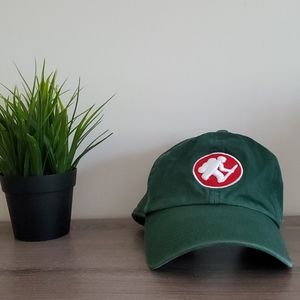 '47 Brand Long Trail Dad Hat